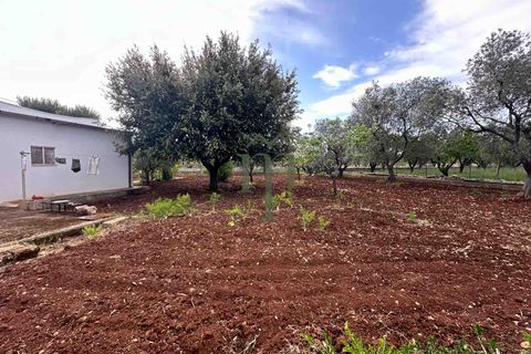 Masia a Ostuni, Brindisi, Ostuni - € 270.000 | Ref: Villa Columbri - foto 24